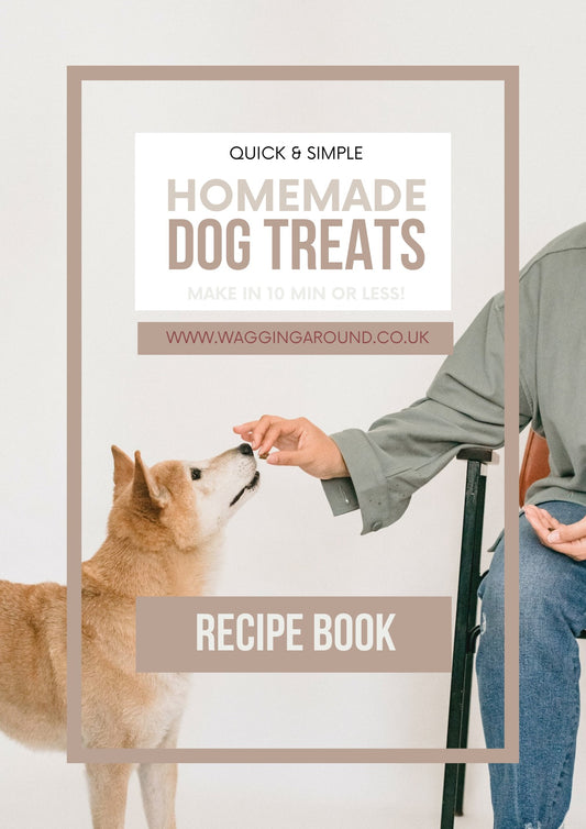 Treat Recipe PDF