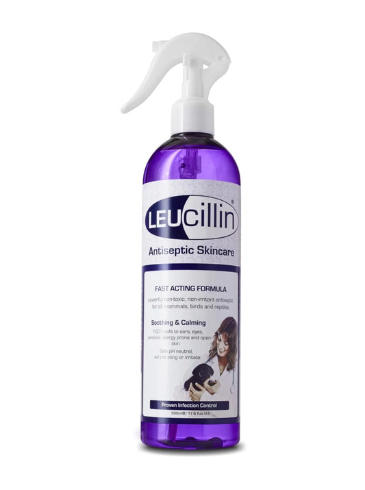 Leucillin antiseptic spray for cats and dogs