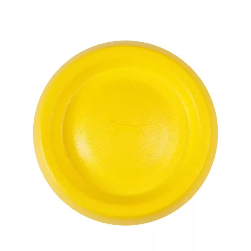 Easy Glide Frisbee 9 Inch